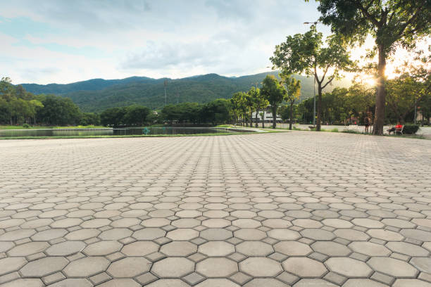 Best Best Driveway Pavers  in Cortland, IL